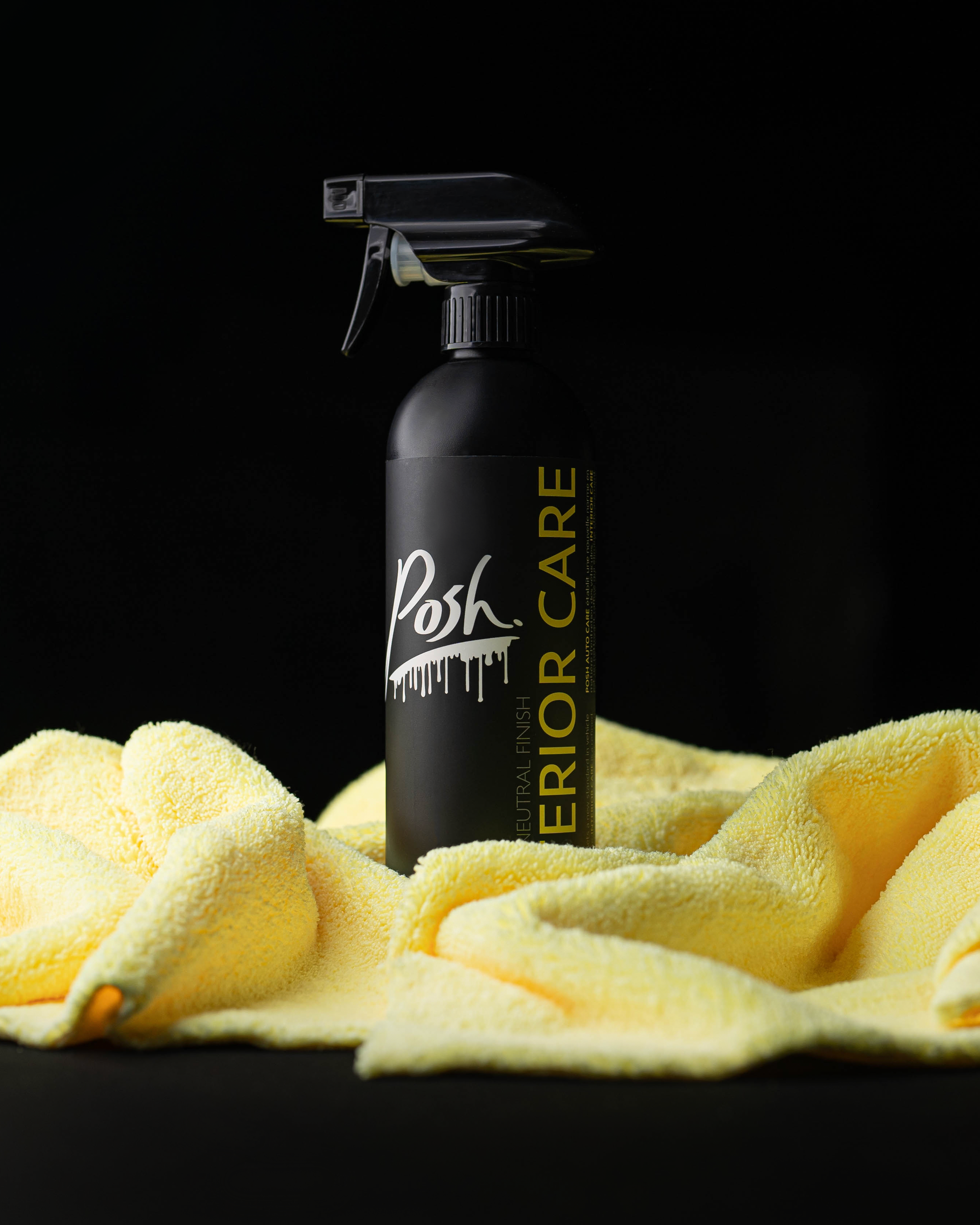 Posh Detailing | Interior Care