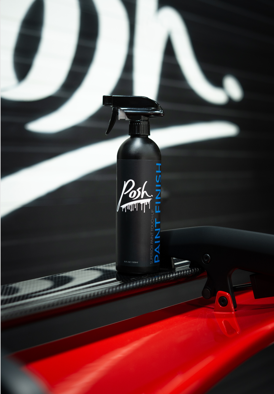 Posh Detailing | Paint Finish