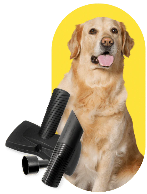 Buff Brite Hammerhead Tool - Wide Area Pet Hair, Sand and Lint Remover